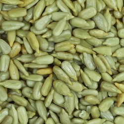 GIRASOL FRITA PELADA SALADA