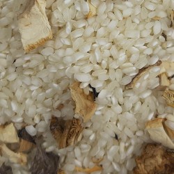 RISOTTO SETAS