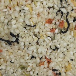 RISOTTO ALGAS