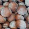 AVELLANA CRUDA CASCARA