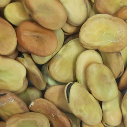 HABA SECA