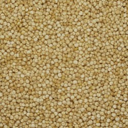 QUINOA BLANCA