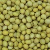 SOJA BLANCA