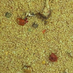CUSCÚS SETAS ESPELTA INTEGRAL