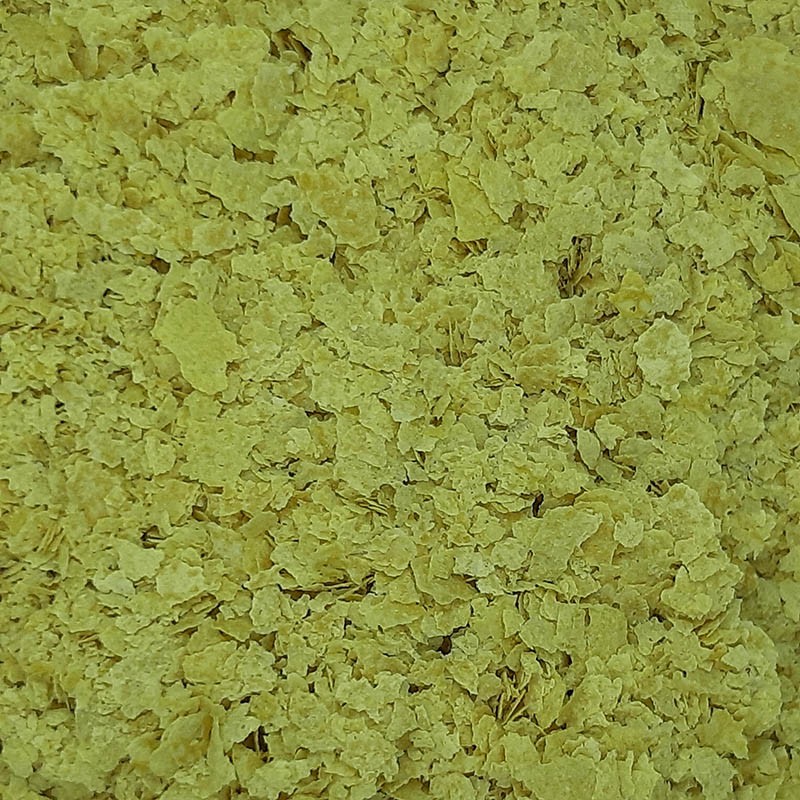 LEVADURA NUTRICIONAL + B12