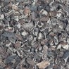 NIBS CACAO ECO