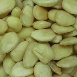 ALMENDRA CRUDA COMÚN REPELADA