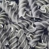 ESPIRAL ESPIRULINA