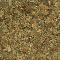 GINKO BILOBA