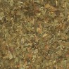 GINKO BILOBA