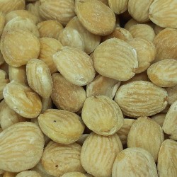 ALMENDRA MARCONA SALADA