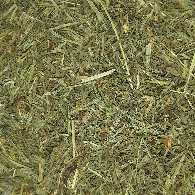 COLA DE CABALLO