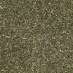 MENTA HOJAS