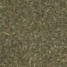 MENTA HOJAS