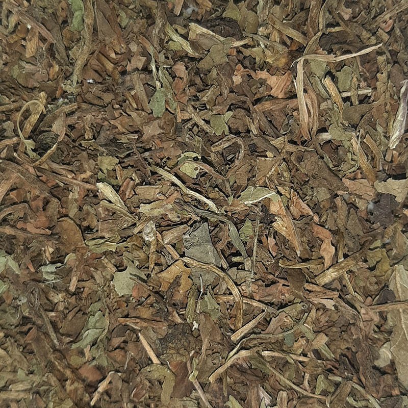 DIENTE DE LEÓN