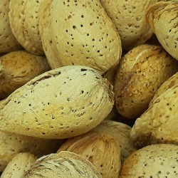 ALMENDRA CRUDA CÁSCARA