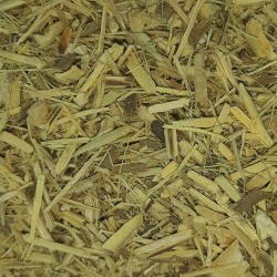 GINSENG NATURAL