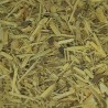 GINSENG NATURAL