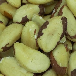 NUEZ DE BRASIL COQUITO