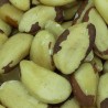 NUEZ DE BRASIL COQUITO
