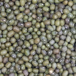 SOJA VERDE