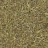 POLEO MENTA