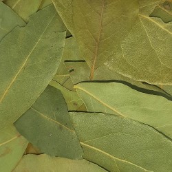 LAUREL HOJA