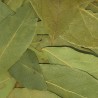 LAUREL HOJA