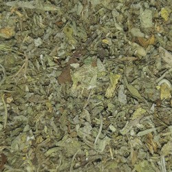 SALVIA