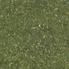 ANET-ENELDO FULLA