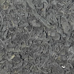 ALGA WAKAME