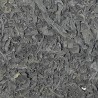 ALGA WAKAME