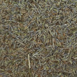 ESPÍGOL-LAVANDA