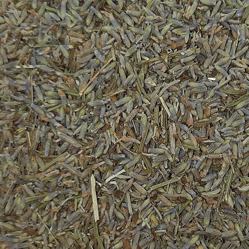 LAVANDA