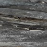ALGA KOMBU