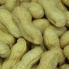 CACAHUETE CÁSCARA TOSTADO