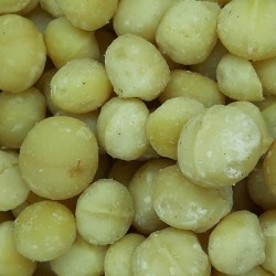 MACADÀMIA CRUA