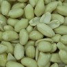 CACAHUETE REPELADO CRUDO