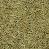 ARRÒS BASMATI INTEGRAL
