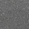 COMINO NEGRO