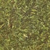 ESTEVIA HOJA NATURAL
