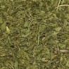 JULIVERT FULLA
