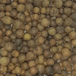 PEBRE JAMAICA