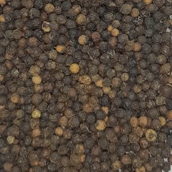 PEBRE NEGRE GRA