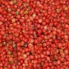 PIMIENTA ROSA-ROJA GRANO