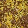 ROOIBOS BUEN ÁNIMO