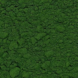 CHLORELLA EN POLVO ECO