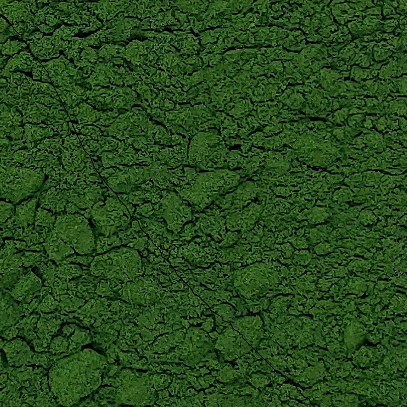 CHLORELLA EN POLVO ECO