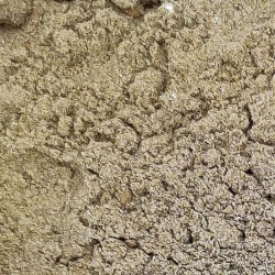 PROTEÍNA DEPORTISTAS