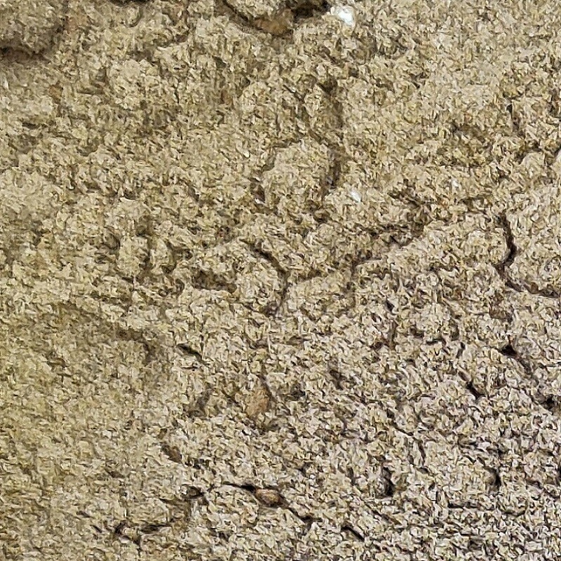 PROTEÍNA DEPORTISTAS